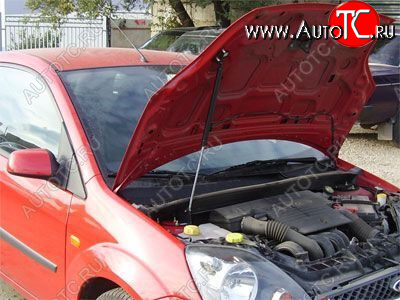 2 699 р. Упор капота Ford Fiesta V (2001-2009) ТехноМастер ТехноМастер 8231.5900.04  с доставкой в г. Кемерово