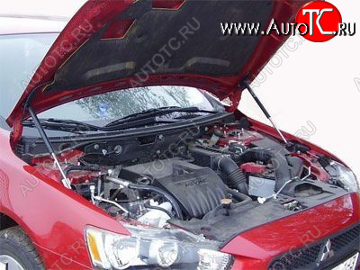 2 049 р. Упор капота Mitsubishi Lancer X (2011-) ТехноМастер ТехноМастер 8231.6150.04  с доставкой в г. Кемерово