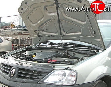 2 699 р. Упор капота Lada Largus (2012-н.в.) Logan (2004-н.в.) ТехноМастер ТехноМастер 8231.6500.04  с доставкой в г. Кемерово
