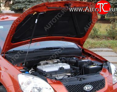 2 699 р. Упор капота Kia Rio II (2005-2011) ТехноМастер ТехноМастер 8231.6900.04  с доставкой в г. Кемерово