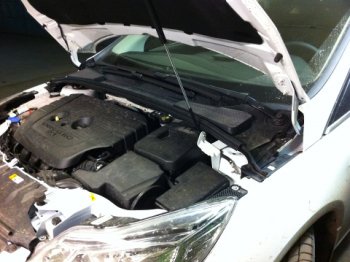 Упор капота Ford Focus III (2011-н.в.) ТехноМастер ТехноМастер 8231.7700.04