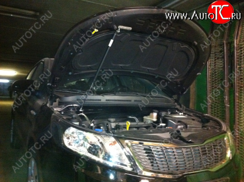 2 449 р. Упор капота KIA Rio III (2011-н.в.) ТехноМастер ТехноМастер 8231.7800.04  с доставкой в г. Кемерово