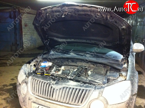 1 669 р. Упор капота Skoda Yeti I (2009-2013) ТехноМастер ТехноМастер 8231.8500.04  с доставкой в г. Кемерово