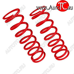 5 449 р. Пружины цилиндрические 250-70-90 Автопродукт (комплект) Autoproduct ар-s1515  с доставкой в г. Кемерово