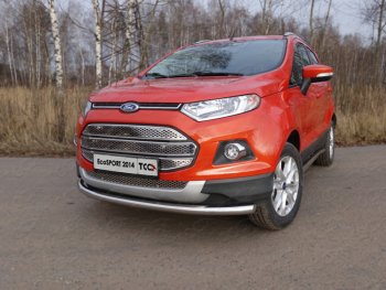 Защита переднего бампера нижняя d60,3 мм ТСС Тюнинг Ford EcoSport (2013-2019) дорестайлинг (нержавейка)