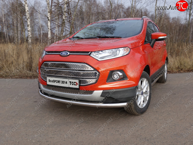 12 999 р. Защита переднего бампера нижняя d60,3 мм ТСС Тюнинг Ford EcoSport дорестайлинг (2013-2019) (нержавейка)  с доставкой в г. Кемерово