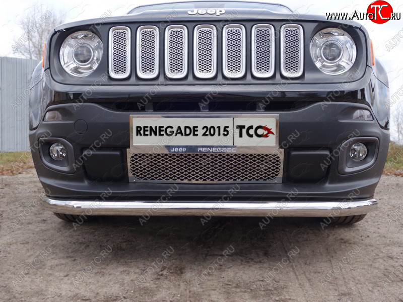 1 000 000 р.  ТСС Тюнинг JEEPRenegade 4WD 2015- - Решетка радиатора верхняя (лист)  jeepren4wd1507  с доставкой в г. Кемерово