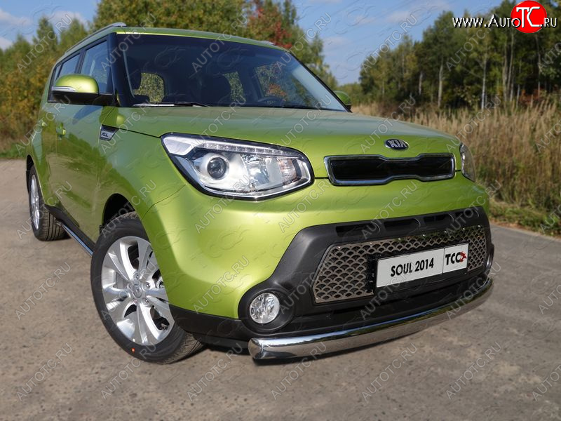 1 000 000 р.  ТСС Тюнинг KIASoul 2014-2016 - Решетка радиатора (треугольник)  kiasoul1404  с доставкой в г. Кемерово