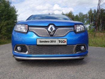 1 093 999 р. Вставка переднего бампера ТСС Тюнинг Renault Sandero (B8) дорестайлинг (2014-2018) (лист 16 мм)  с доставкой в г. Кемерово. Увеличить фотографию 1