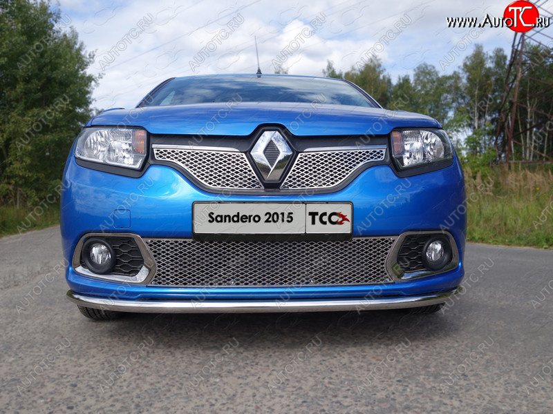 1 093 999 р. Вставка переднего бампера ТСС Тюнинг Renault Sandero (B8) дорестайлинг (2014-2018) (лист 16 мм)  с доставкой в г. Кемерово