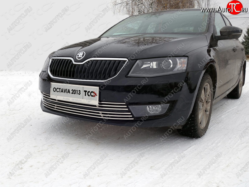 1 000 000 р. Декоративная вставка переднего бампера ТСС Тюнинг  Skoda Octavia  A7 (2012-2017) дорестайлинг лифтбэк, дорестайлинг универсал (d 12 мм)  с доставкой в г. Кемерово