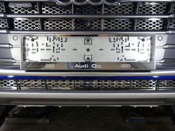 Рамка гос. номера ТСС Тюнинг Audi Q7  4M (2015-2020) дорестайлинг (нержавейка)