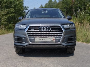Рамка гос. номера ТСС Тюнинг Audi Q7  4M (2015-2020) дорестайлинг (нержавейка)