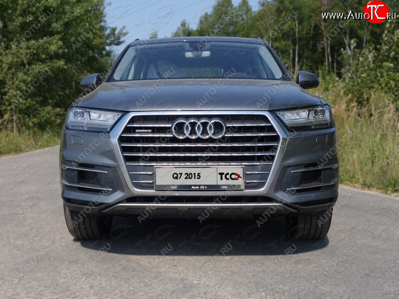 5 999 р. Рамка гос. номера ТСС Тюнинг  Audi Q7  4M (2015-2020) дорестайлинг (нержавейка)  с доставкой в г. Кемерово