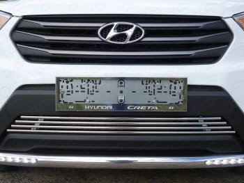Рамка гос. номера ТСС Тюнинг Hyundai Creta  GS (2015-2019) дорестайлинг (нержавейка)