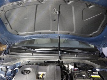 Упор капота ТСС Тюнинг HYUNDAI Elantra 2016-  hyunela1601y
