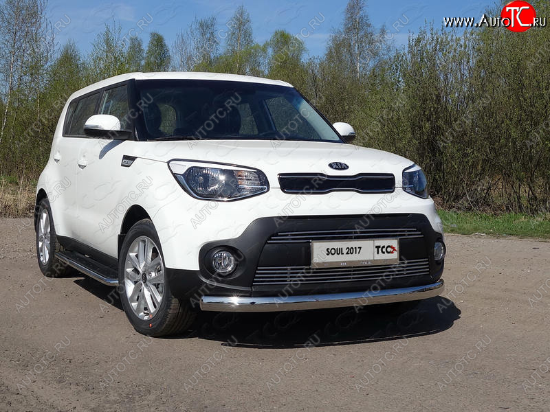 1 000 000 р. Рамка гос. номера ТСС Тюнинг  KIA Soul  PS (2017-2019) рестайлинг (нержавейка)  с доставкой в г. Кемерово