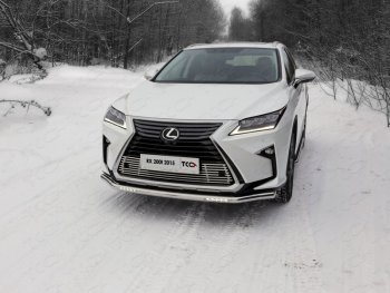 5 999 р. Рамка гос. номера ТСС Тюнинг  Lexus RX  200T - RX450H  AL10 (нержавейка)  с доставкой в г. Кемерово. Увеличить фотографию 1