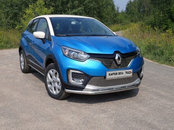 Рамка гос. номера ТСС Тюнинг Renault Kaptur (2016-2020) дорестайлинг (нержавейка)