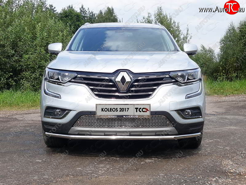 5 999 р. Рамка гос. номера ТСС Тюнинг  Renault Koleos  2 (2016-2025) (нержавейка)  с доставкой в г. Кемерово