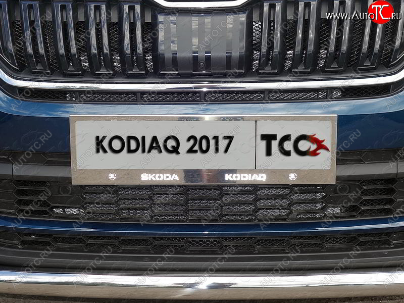 5 999 р. Рамка гос. номера ТСС Тюнинг  Skoda Kodiaq  NU7 (2017-2021) дорестайлинг (нержавейка)  с доставкой в г. Кемерово