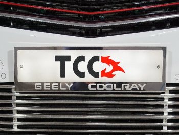 Рамка гос. номера ТСС Тюнинг Geely Coolray  SX11 (2018-2023) дорестайлинг (нержавейка)