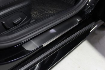 Накладки на пороги ТСС Тюнинг Hyundai Sonata  DN8 (2019-2022) (Лист шлифованный)