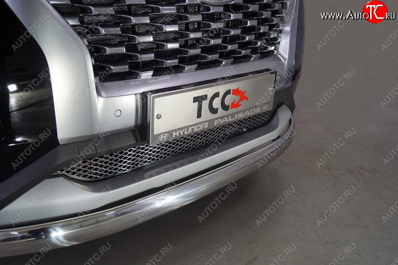 4 999 р. Рамка гос. номера ТСС Тюнинг  Hyundai Palisade  LX2 (2018-2022) (нержавейка)  с доставкой в г. Кемерово