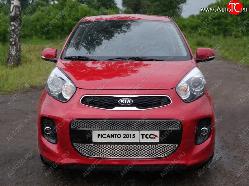 1 000 000 р.  ТСС Тюнинг KIAPicanto II 2011-2017 - Решетка радиатора средняя (лист)  kiapic1501  с доставкой в г. Кемерово