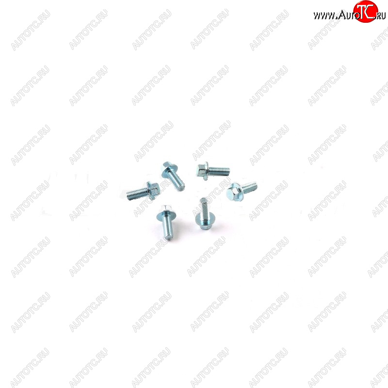 469 р. Комплект болтов тормозного диска (6шт.) SM-PARTS SM-DB06  010263-686-1770  с доставкой в г. Кемерово