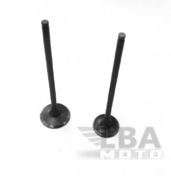 Клапаны впусквыпуск для мотоцикла Honda CB400 92-98, CB-1 89-90  пм-00016998