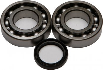 Компл. подшипников и сальников квала ALL BALLS Kawasaki KX250F 04-16 Suzuki RMZ250 04-06 (24-1081)  24-1081