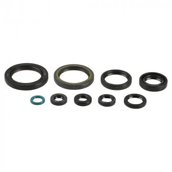 Комплект сальников двигателя ATHENA Honda CRF450 09-16  p400210400239