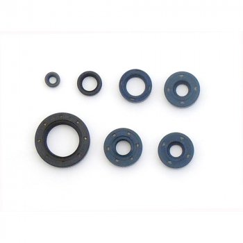 Комплект сальников двигателя ATHENA BMW GS650 GF 99-08  p400070400001