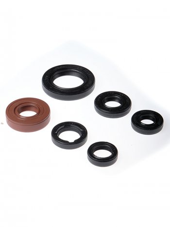 Комплект сальников двигателя BWX Honda TRX300 93-09 (822146)  osk30146