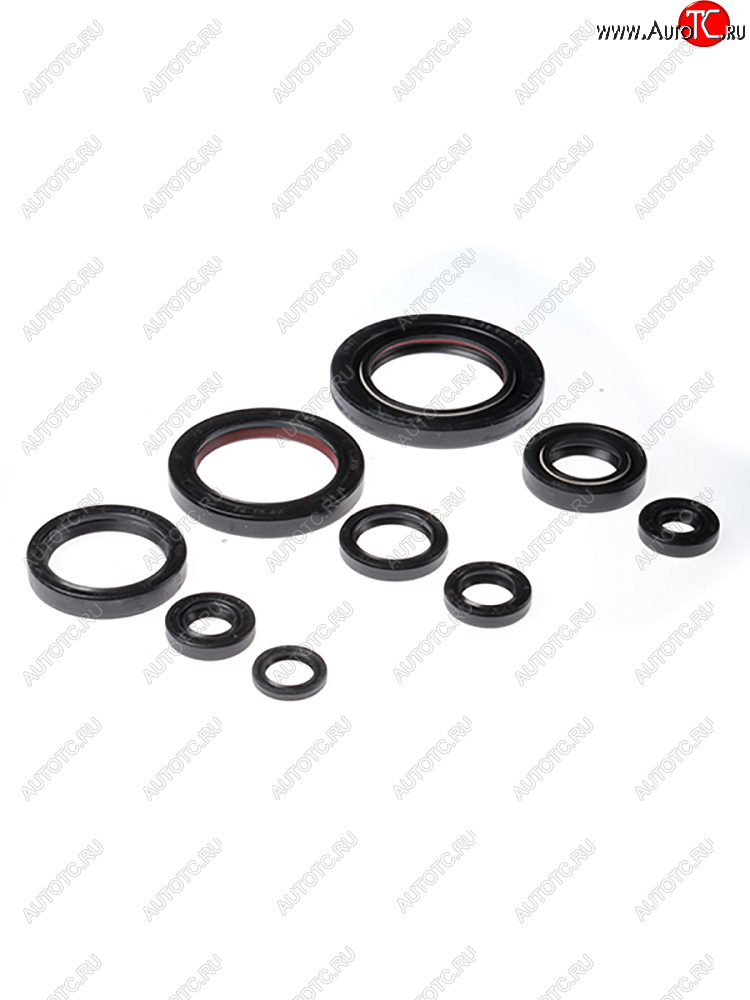 2 899 р. Комплект сальников двигателя BWX Honda TRX450ER 06-14, TRX450R 06-09 (822312)  osk30312  с доставкой в г. Кемерово