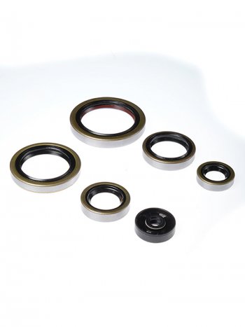 Комплект сальников двигателя BWX KTM SX250 03-16,Husqvarna TETC250 14-16,TE300 14-16 (822269)  osk40269