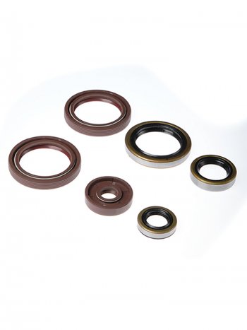 Комплект сальников двигателя BWX KTM EXC500 12-16, SX- F450 13-15 (822360)  osk40360