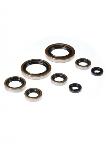 Комплект сальников двигателя BWX KTM SX450 03-06, EXC400SXMCX 98-02 (822274)  osk60274