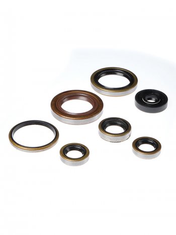 Комплект сальников двигателя BWX KTM SX-F250 05-12 (822320)  osk60320