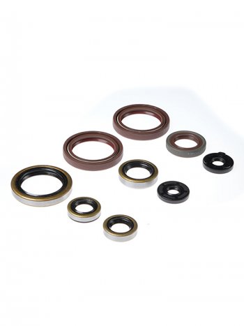 Комплект сальников двигателя BWX EXC450 09-11, EXC530 09-11 (822359)  osk60359