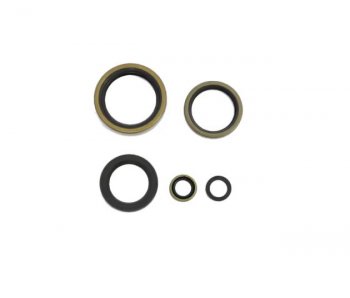 Комплект сальников двигателя Athena Harley-Davidson XL883 86-90  p400195400700