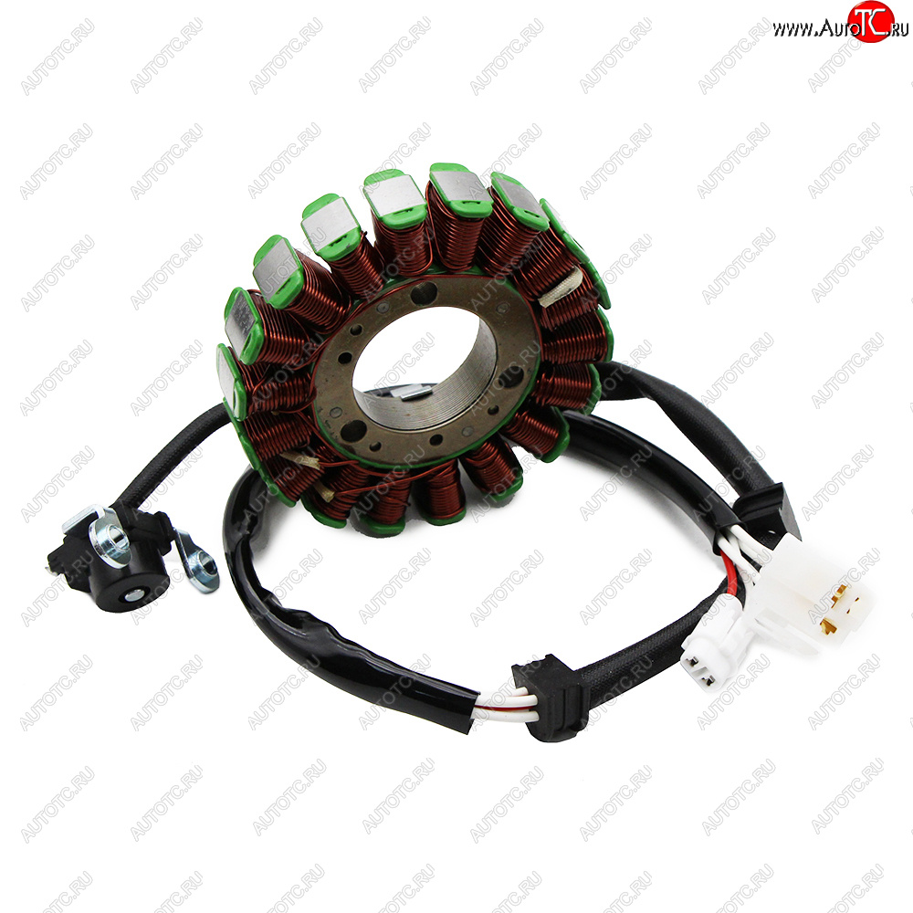 6 849 р. Статор генератора Yamaha XT250 08-12, 2018, XG250 Tricker 08,10,14,17 5XT-81410-10  пм-00029909  с доставкой в г. Кемерово