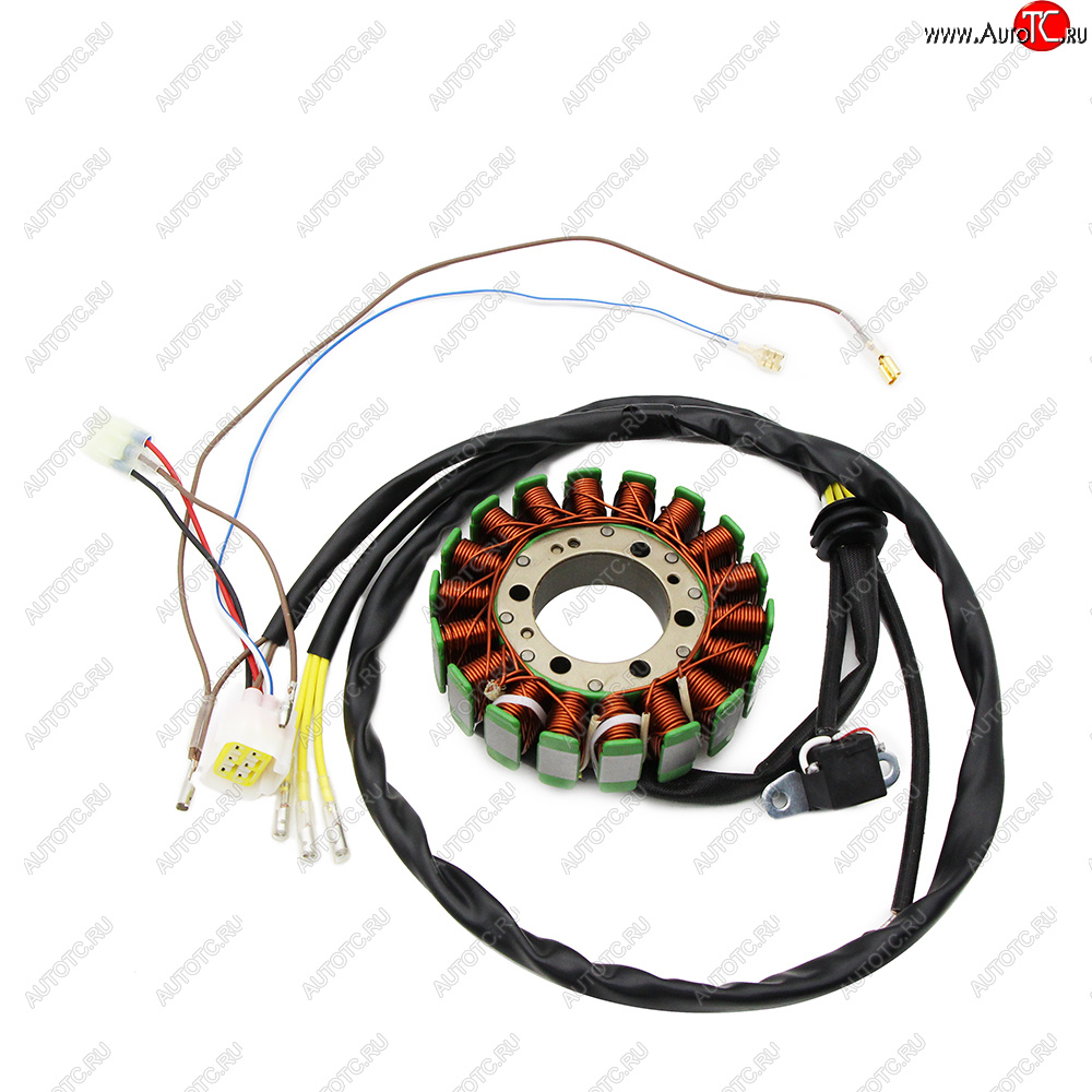 6 849 р. Статор генератора Polaris RANGER 500 05-09 3089579  пм-00029725  с доставкой в г. Кемерово