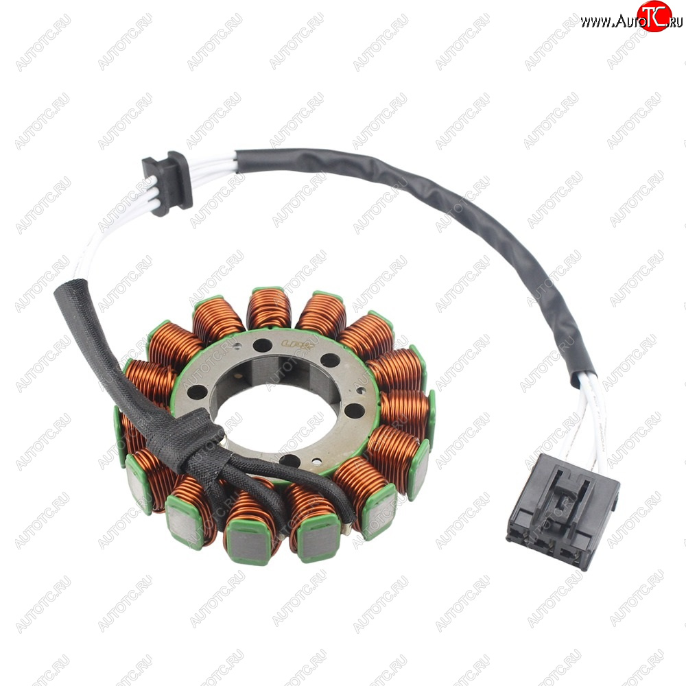 6 849 р. Статор генератора Aprilia RSV4 11-17, Tuono 1000 V4 12-15, Tuono 1100 16-17 2D000049  пм-00029754  с доставкой в г. Кемерово