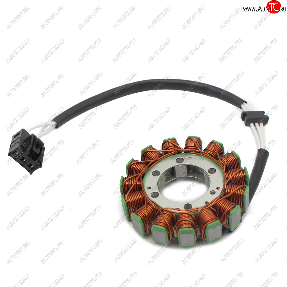 5 499 р. Статор генератора Kawasaki ZX6R 07-08 21003-0049  пм-00029862  с доставкой в г. Кемерово