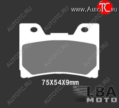 2 699 р. Тормозные колодки Nissin 2P-251NS (251)  28 556  с доставкой в г. Кемерово