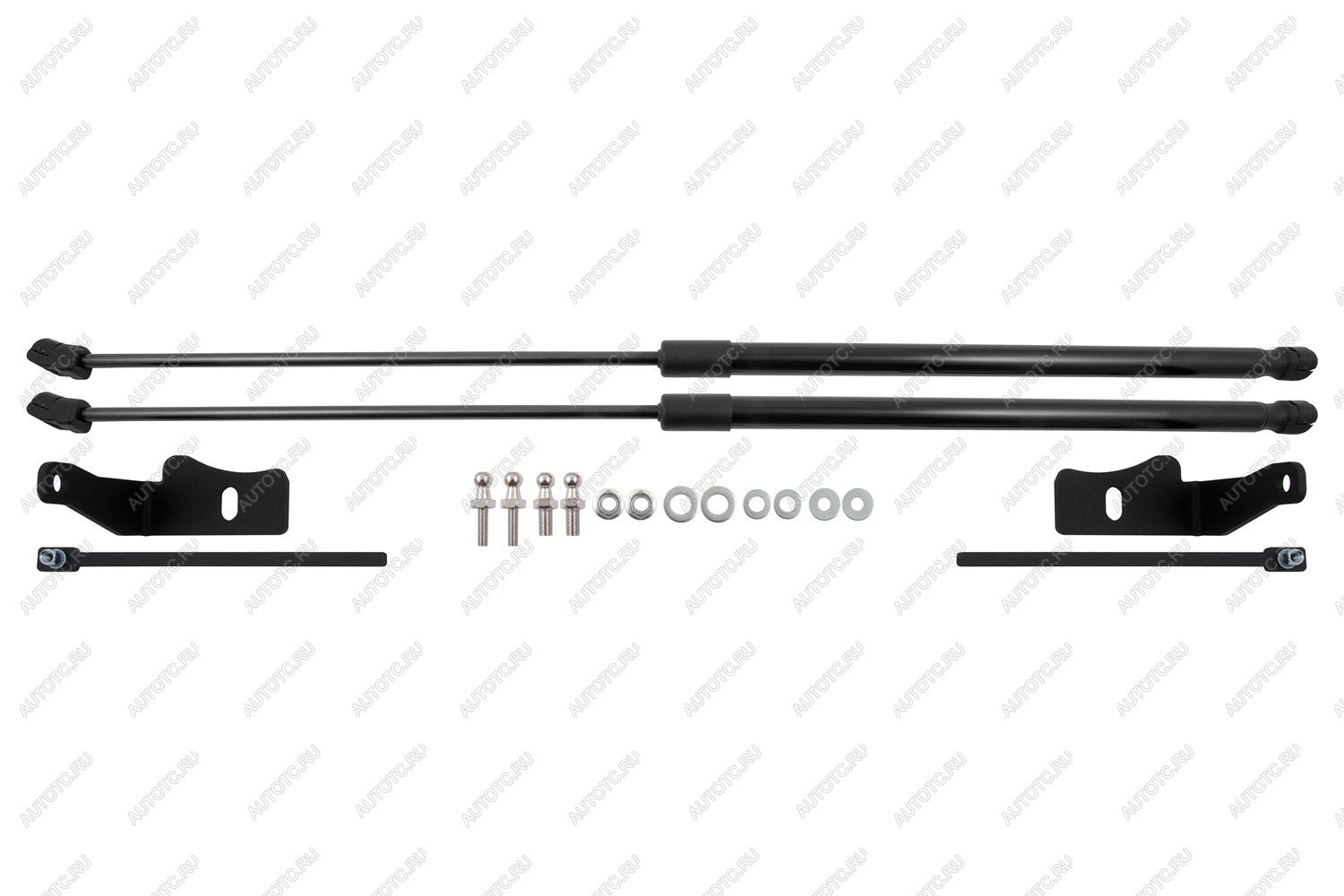 4 899 р. Амортизаторы капота для DongFeng Glorу 600, 2024-, к-т 2 шт  ДонгФенг Глори 600 EASYLIFT easylift 076.102  с доставкой в г. Кемерово