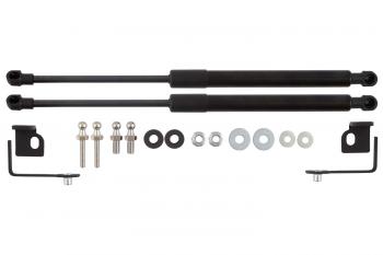 4 549 р. Амортизаторы капота для EVOLUTE i-Space, 2024-, к-т 2 шт  Эволют EASYLIFT easylift 062.102  с доставкой в г. Кемерово. Увеличить фотографию 1