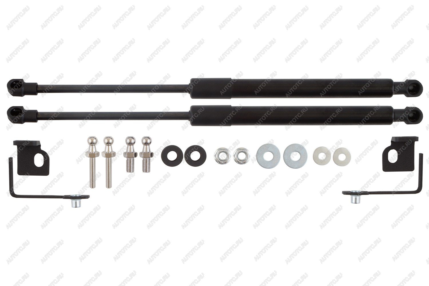 4 549 р. Амортизаторы капота для EVOLUTE i-Space, 2024-, к-т 2 шт  Эволют EASYLIFT easylift 062.102  с доставкой в г. Кемерово